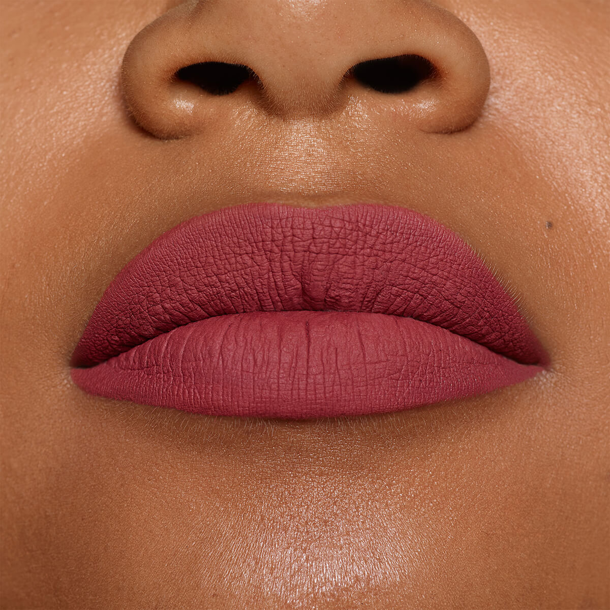 MAGNETIC MATTE LIP COLOR (L&Aacute;PIZ DE LABIOS MATE)